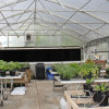 Greenhouse Supplies & Equipment